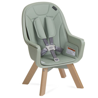 Zoodle 2-In-1 High Chair Booster Feeding Chair with Modern Design, Sage Green (Model #254)
