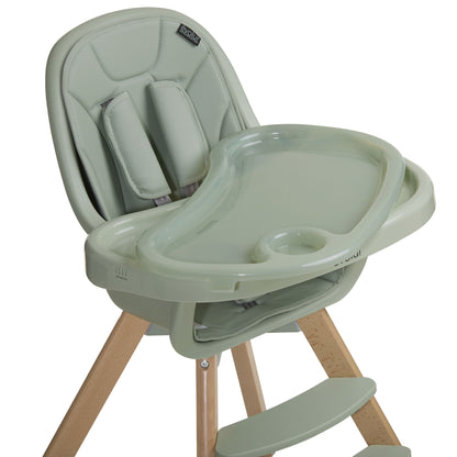 Zoodle 2-In-1 High Chair Booster Feeding Chair with Modern Design, Sage Green (Model #254)